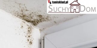 Jak osuszyć fundamenty starego domu?